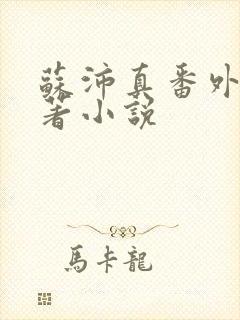 苏沛真番外篇原著小说