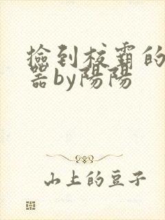 捡到校霸的遥控器by阳阳