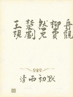 王楚然柳舟记电视剧免费观看全集高清封面