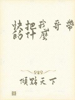 快把我哥带走讲的什么