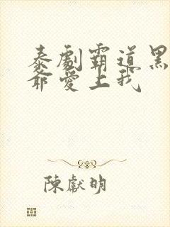 泰剧霸道黑帮少爷爱上我