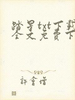 踏星txt下载全文免费下载封面