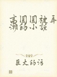 高圆圆被弄到高潮的小说