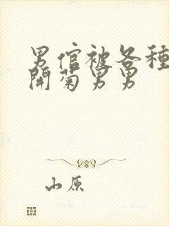 男倌被各种玉势开菊男男封面