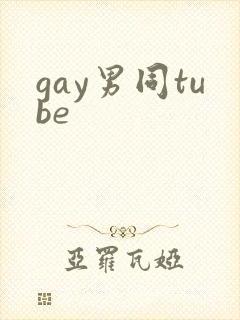 gay男同tube