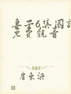 妻子6集国语版免费观看