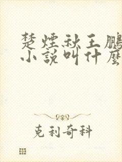 楚烟秋王鹏原著小说叫什么