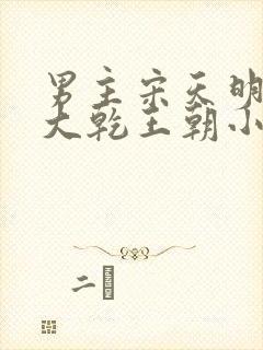 男主宋天明穿越大乾王朝小说名字