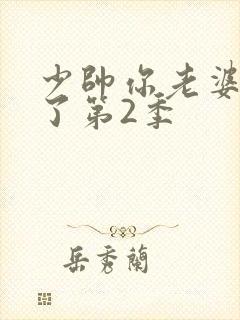 少帅你老婆又跑了第2季