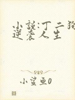 小说:丁二狗的逆袭人生