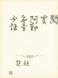 少年阿宾阅读目录章节封面