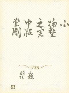 掌中之物小说未删版完整封面