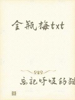 金瓶梅txt