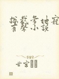 总裁爹地宠上天有声小说