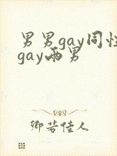 男男gay同性gay两男