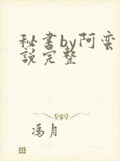 秘书by阿蛮小说完整