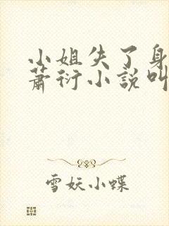 小姐失了身子,萧衍小说叫什么