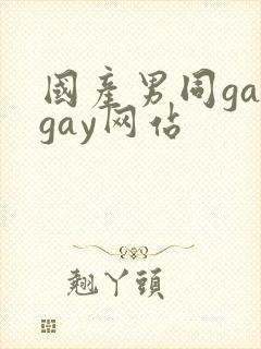 国产男同gaygay网站封面