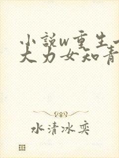 小说w重生七零大力女知青》