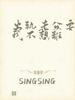 出轨老公要离婚我不想离封面