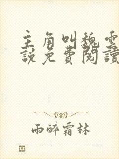 主角叫魏云的小说免费阅读