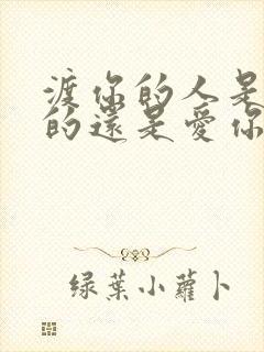 渡你的人是你爱的还是爱你的