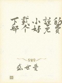 下载小说的软件哪个好免费而且全