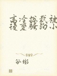 高冷总裁被催眠后变骚狗小说