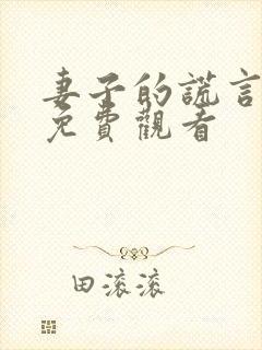 妻子的谎言全集免费观看封面