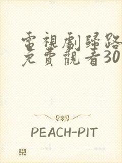 电视剧归路全集免费观看30集高清封面