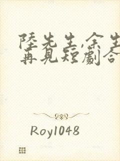 陆先生,余生不再见短剧合集封面