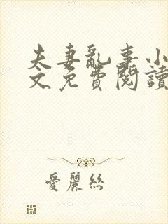 夫妻乱事小说全文免费阅读最新章节