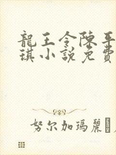 龙王令陈平苏雨琪小说免费