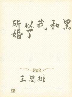 所以我和黑粉结婚了封面