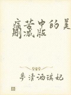 痛苦中的美丽无删减版封面