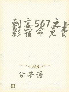 刺客567之暗影宿命免费观看