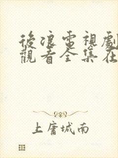 后浪电视剧免费观看全集在线观看封面