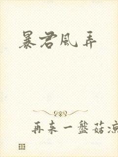暴君风弄封面