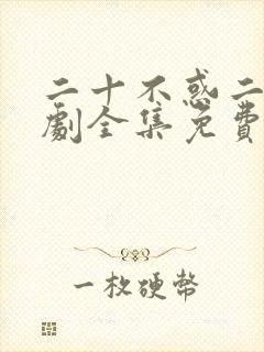 二十不惑二电视剧全集免费观看完整版封面