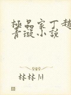 极品家丁赵铮肖青璇小说