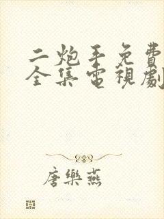 二炮手免费观看全集电视剧