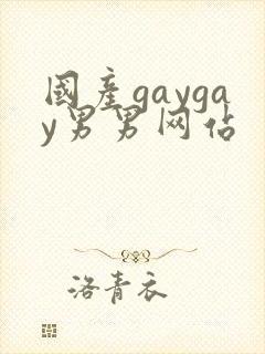 国产gaygay男男网站