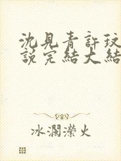 沈见青许玟玟小说完结大结局了吗