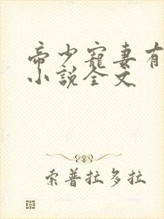 帝少宠妻有点甜小说全文