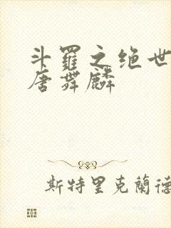 斗罗之绝世龙王唐舞麟