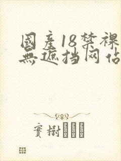 国产18禁裸体无遮挡网站