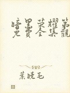 暗黑荣耀第二季免费全集观看高清