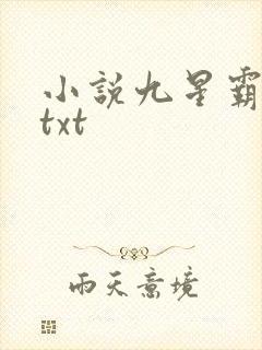 小说九星霸体诀txt