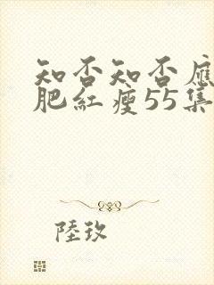 知否知否应是绿肥红瘦55集