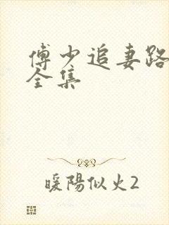 傅少追妻路漫漫全集